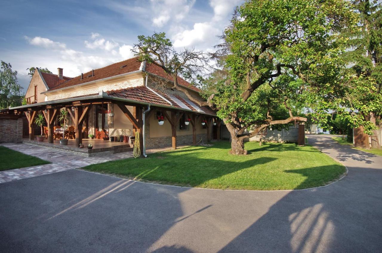 Villa Rusztika Gyula Bagian luar foto