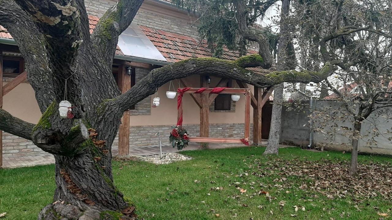 Villa Rusztika Gyula Bagian luar foto